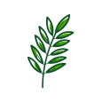 Ilustração Alecrim - Ervas e Banhos na Umbanda.